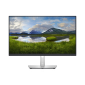 Монитор Dell P2422H (210-AZYX)