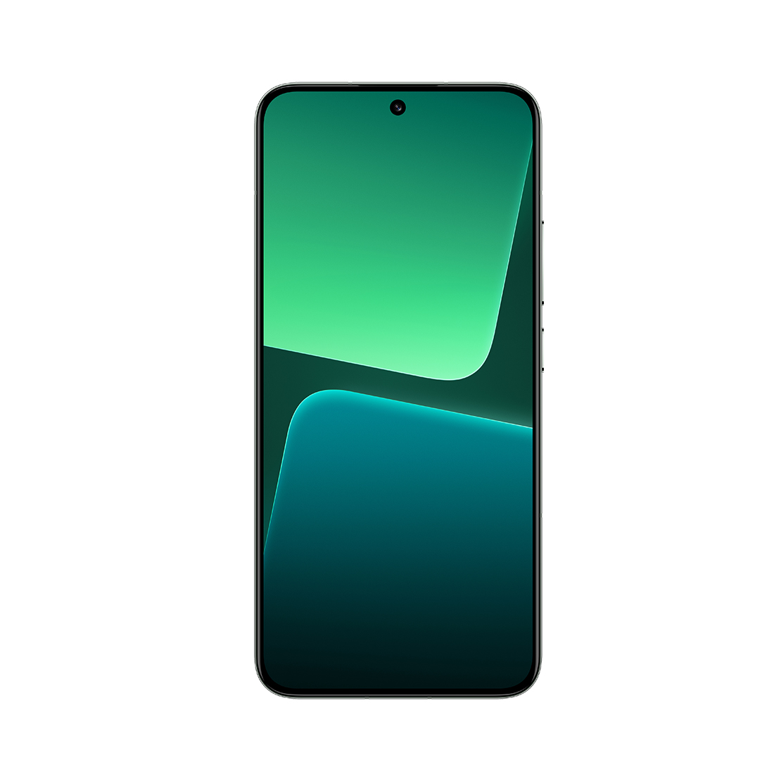 Мобильный телефон Xiaomi 13 12GB RAM 256GB ROM Flora Green