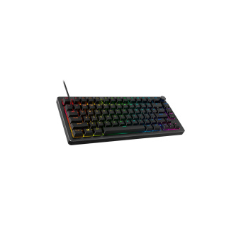 Клавиатура HyperX Alloy Rise 75 (RU) 7G7A4AA#ACB 