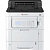 Принтер лазерный цветной Kyocera ECOSYS PA4500cx (A4) 1200 dpi, 45 ppm, Duplex, 1Gb (max.3Gb), Dual core 1.2GHz, USB 2.0 (Hi-Speed), 2xUSB Host Interface, Gigabit Ethernet, optional Wireless LAN, tray: 100+550 (max options: 2850) page, Toner TK-5394K,TK-5